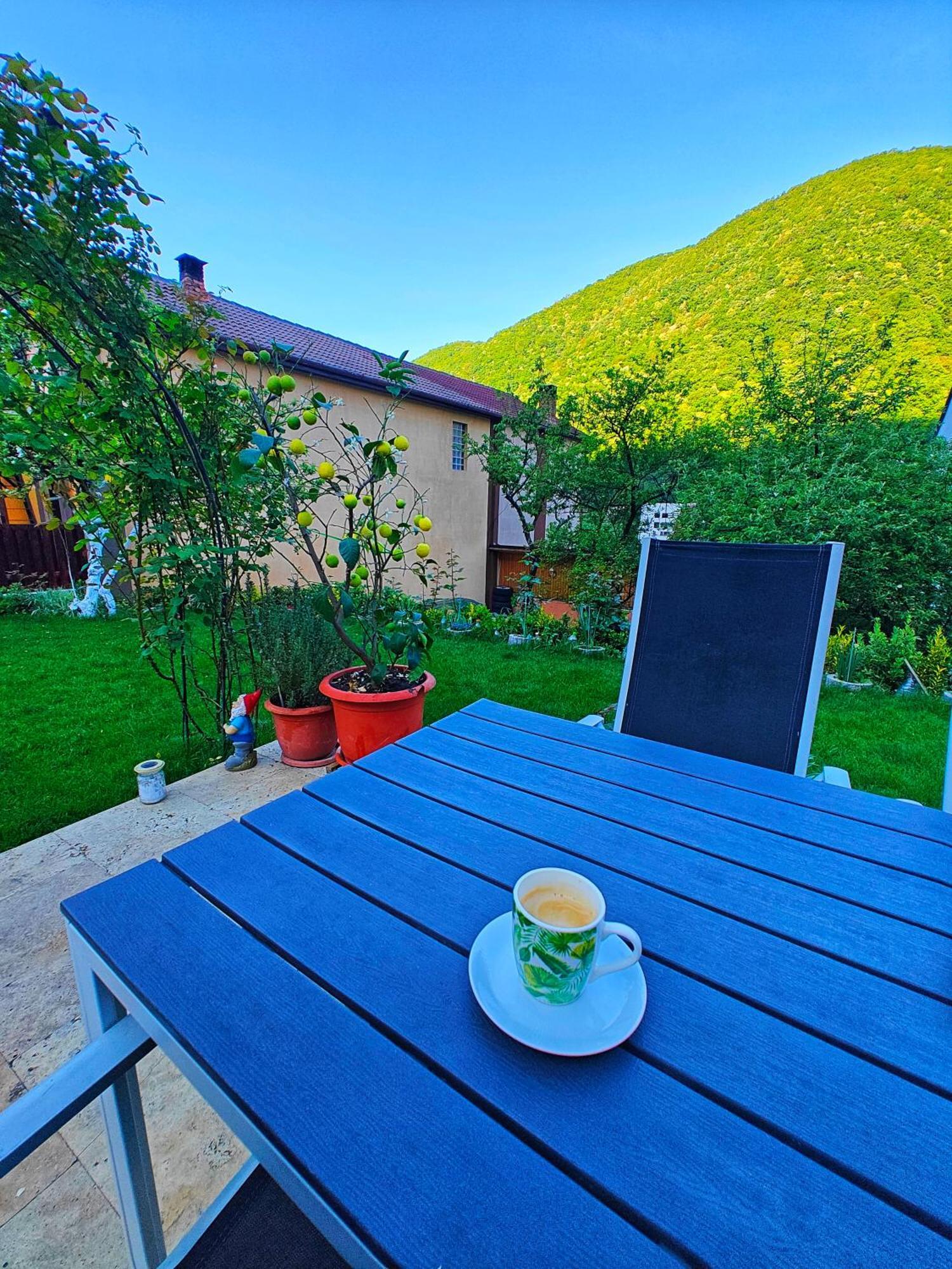 Casa Miclau Daire Băile Herculane Dış mekan fotoğraf