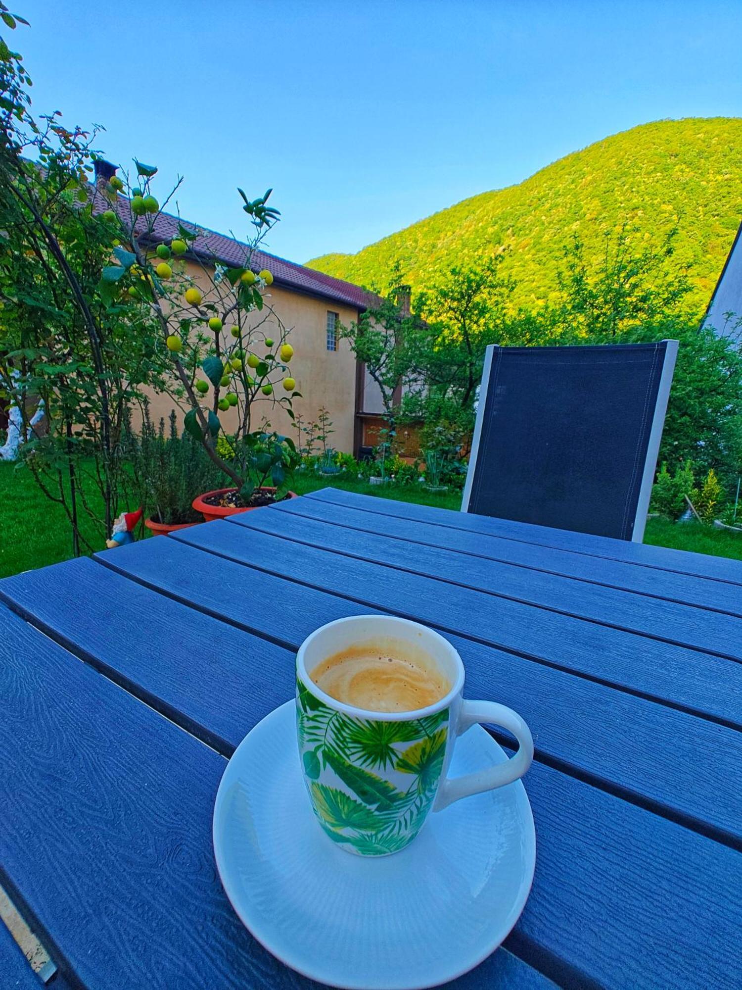 Casa Miclau Daire Băile Herculane Dış mekan fotoğraf