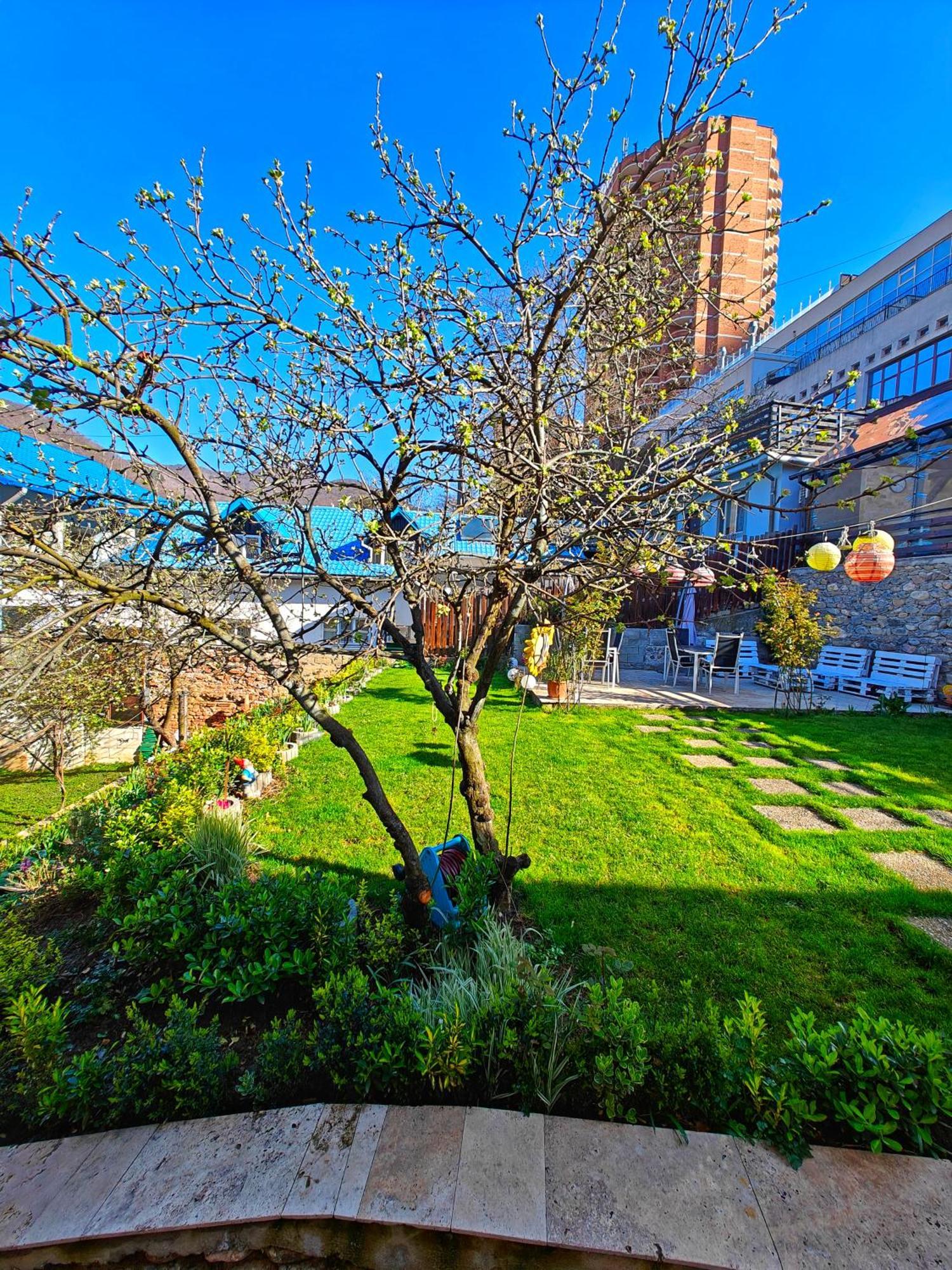 Casa Miclau Daire Băile Herculane Dış mekan fotoğraf