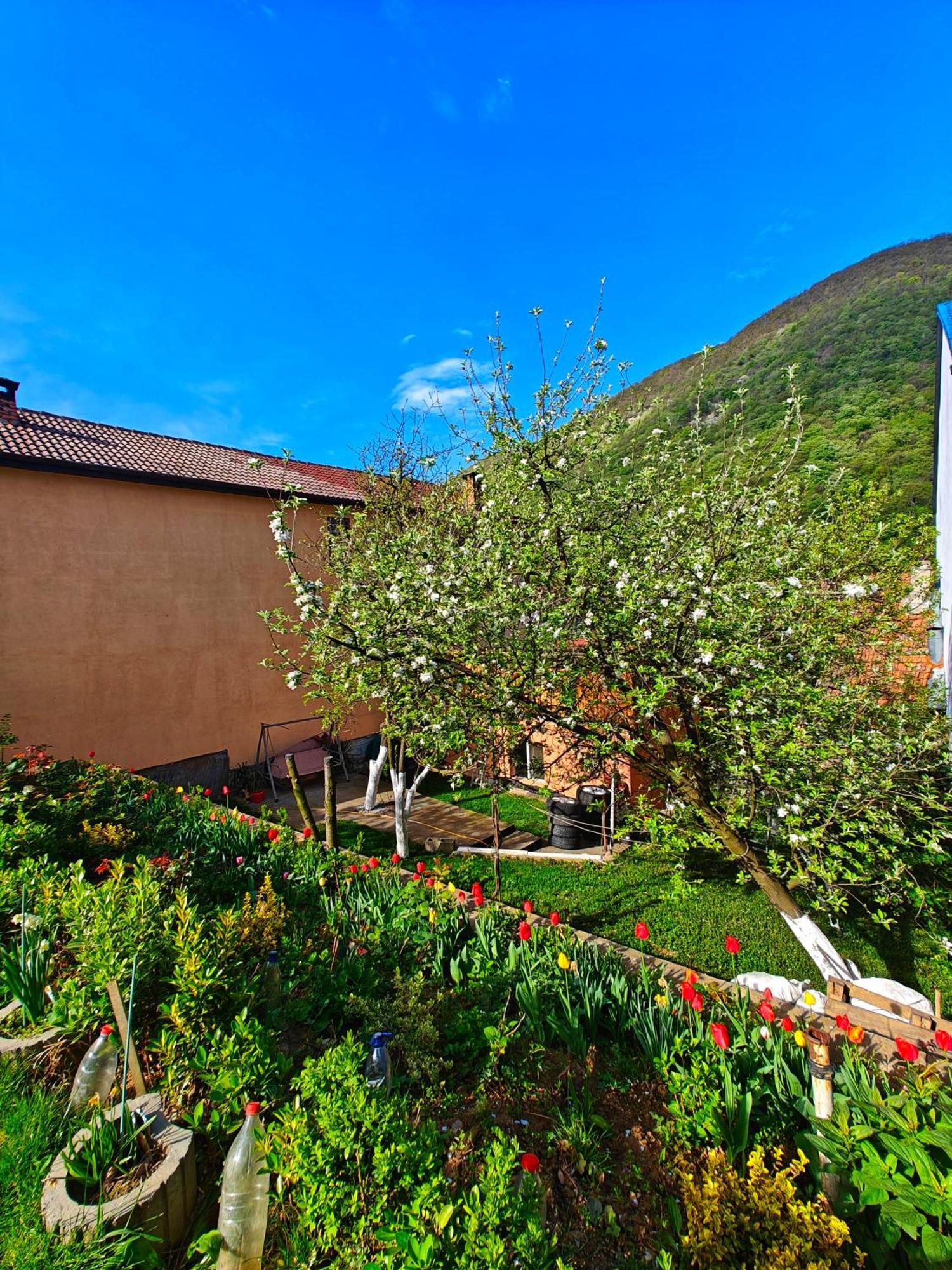 Casa Miclau Daire Băile Herculane Dış mekan fotoğraf