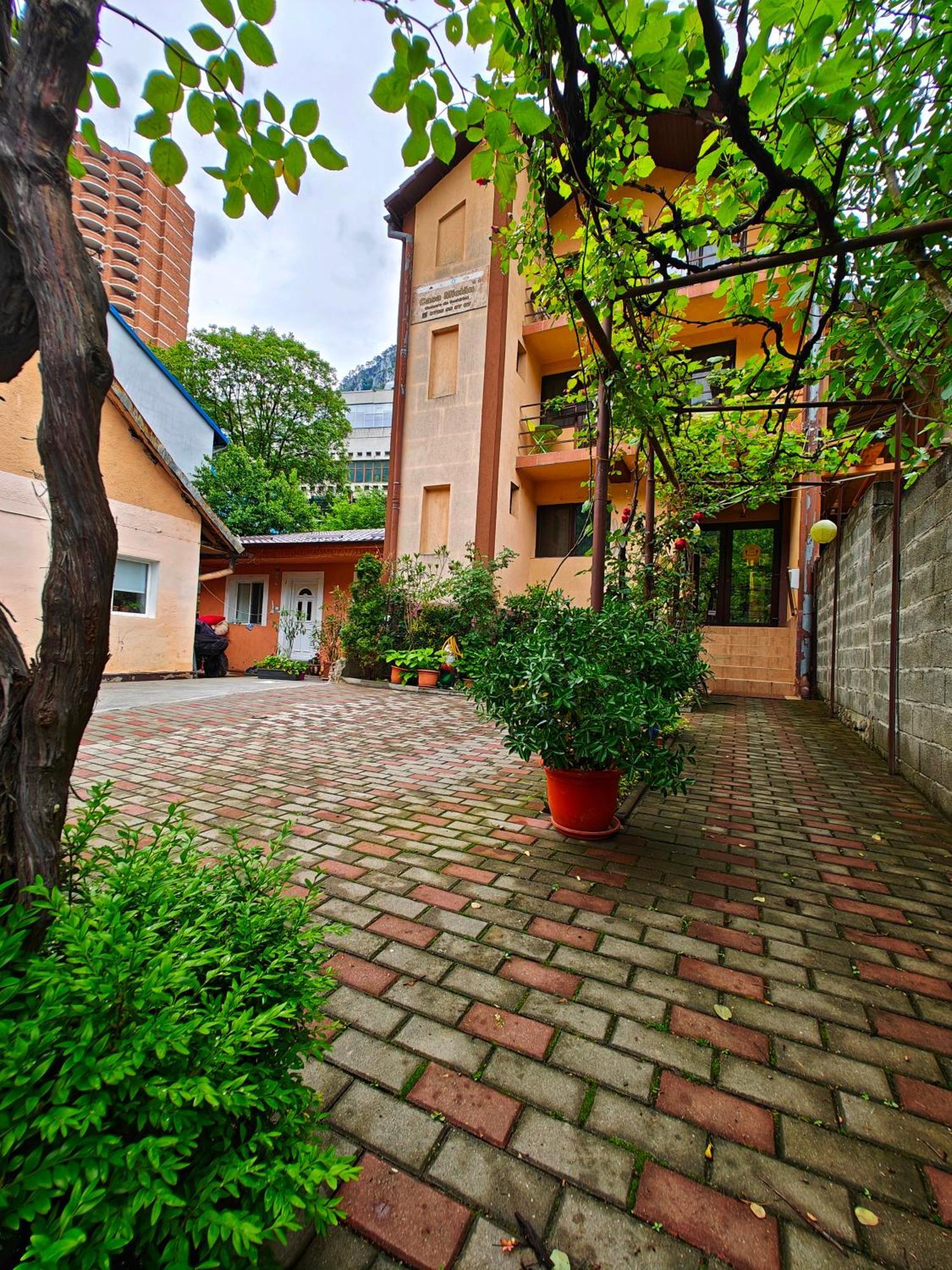 Casa Miclau Daire Băile Herculane Dış mekan fotoğraf