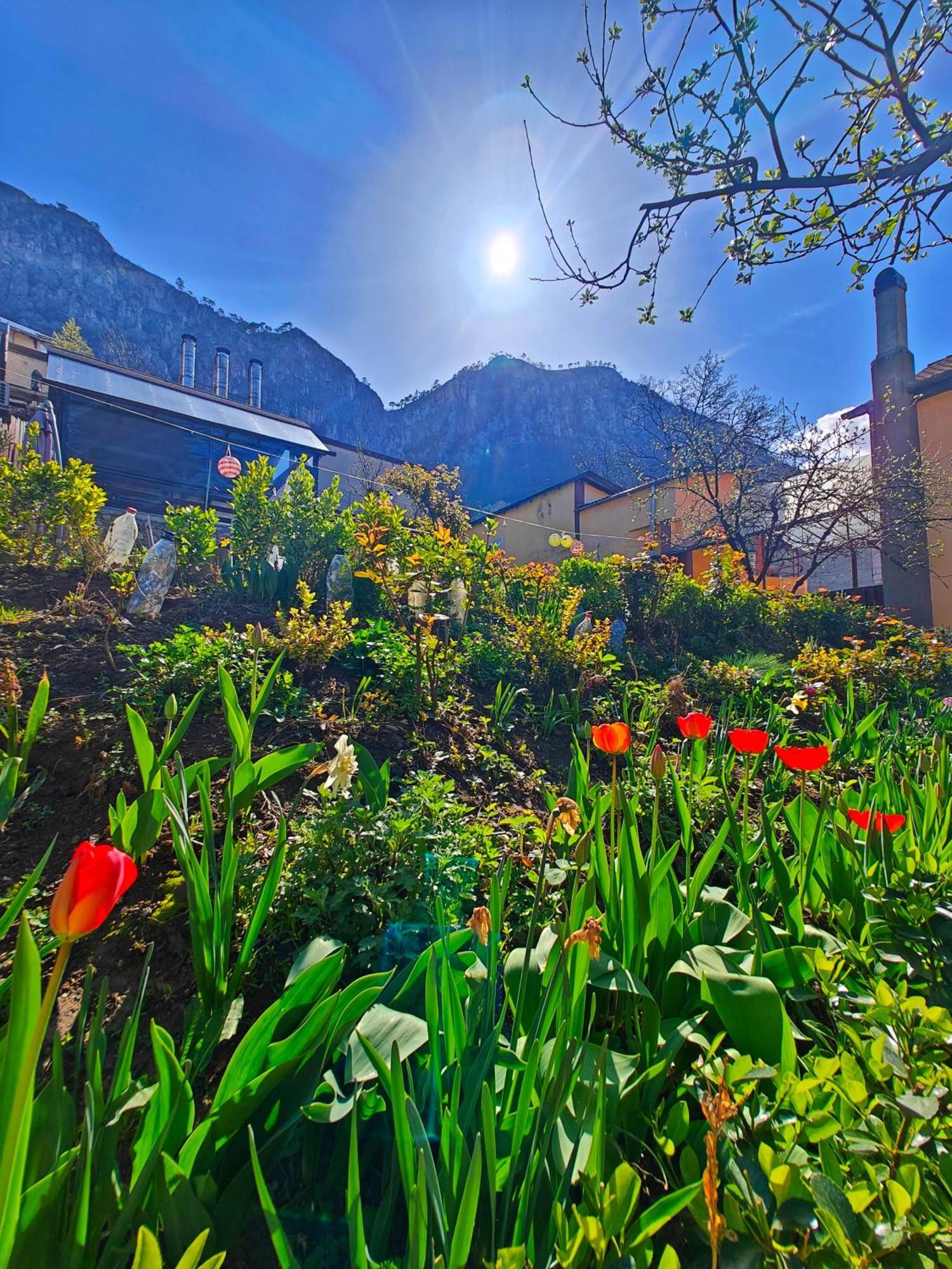 Casa Miclau Daire Băile Herculane Dış mekan fotoğraf
