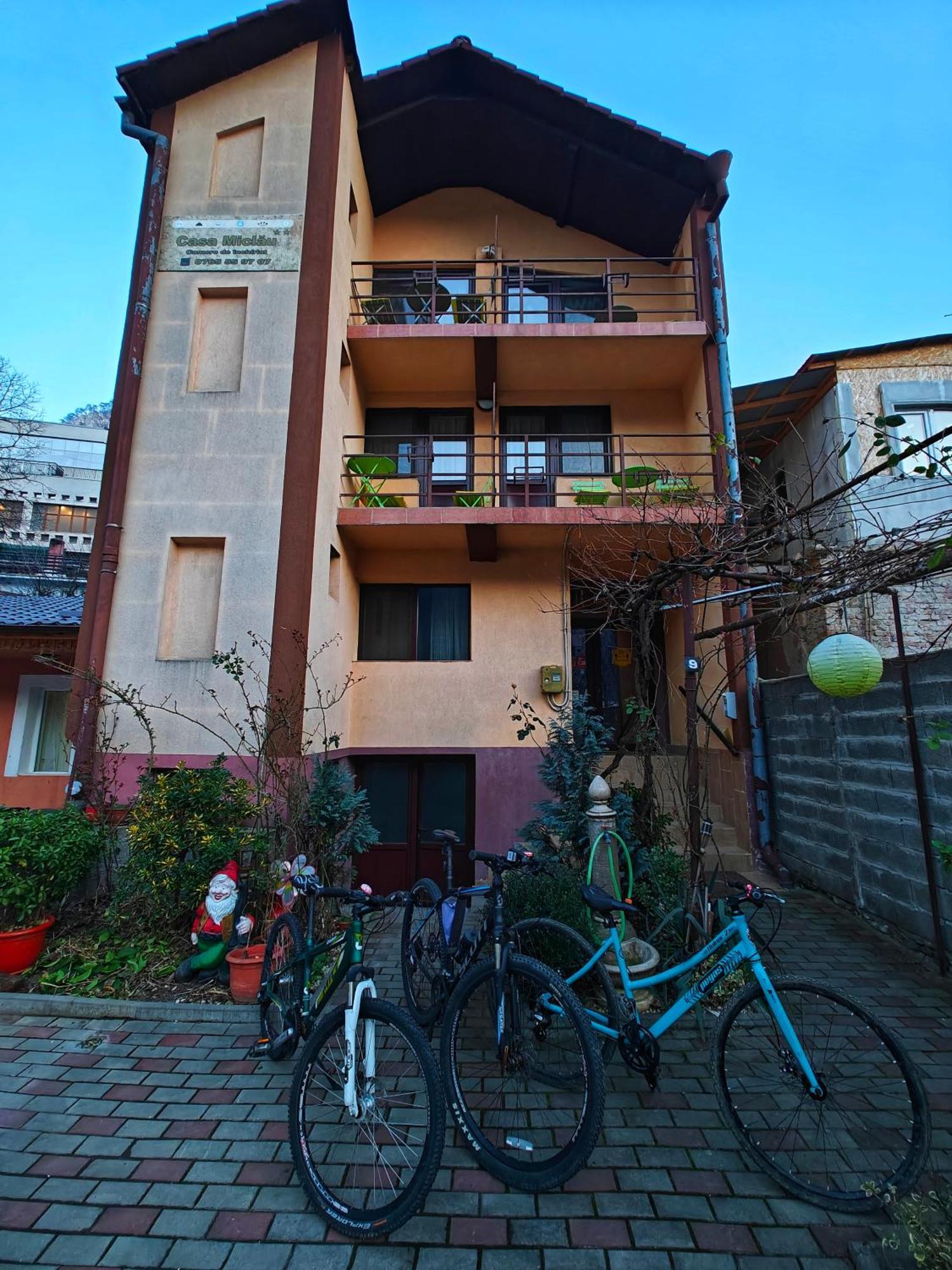 Casa Miclau Daire Băile Herculane Dış mekan fotoğraf