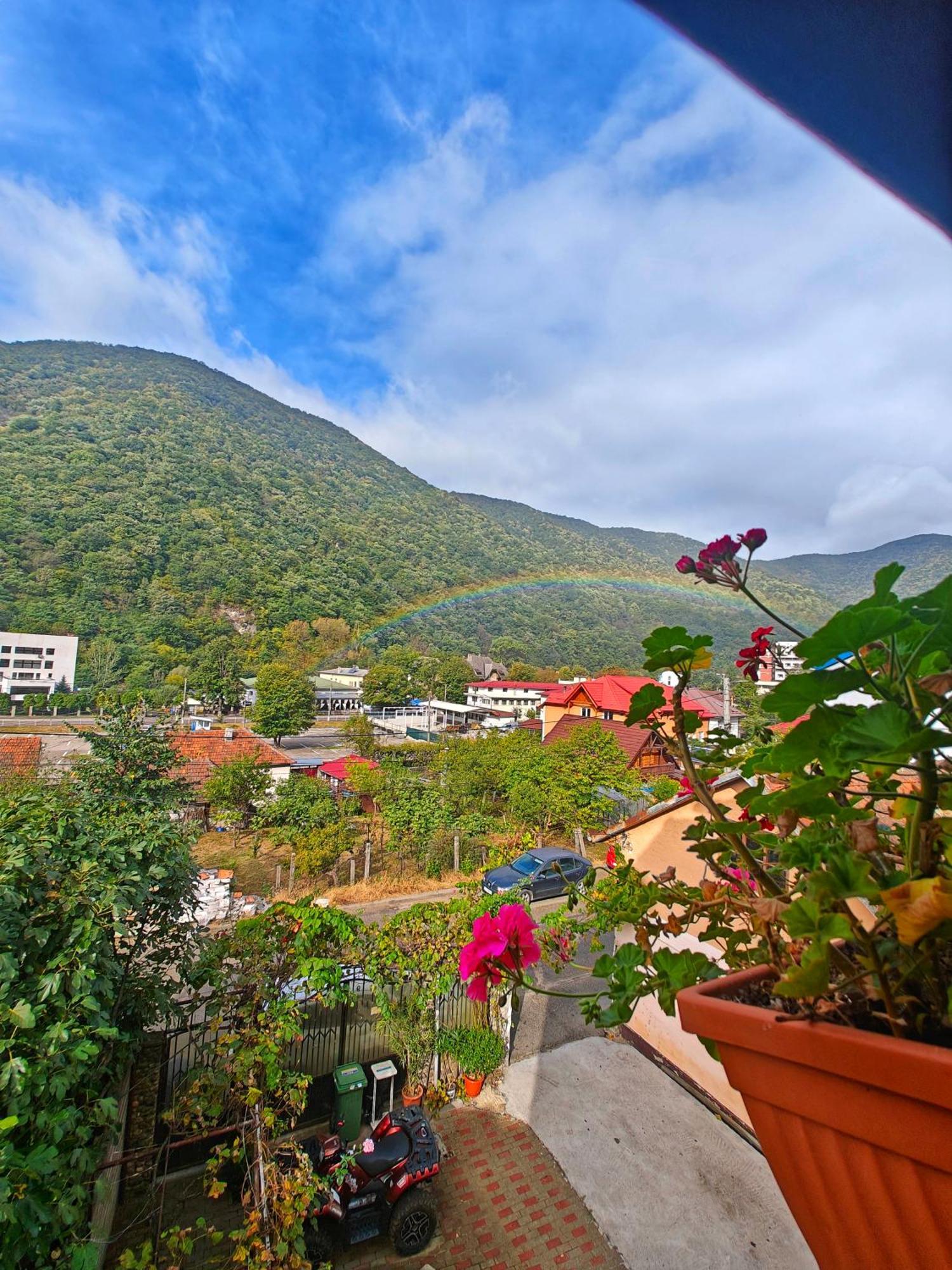 Casa Miclau Daire Băile Herculane Dış mekan fotoğraf