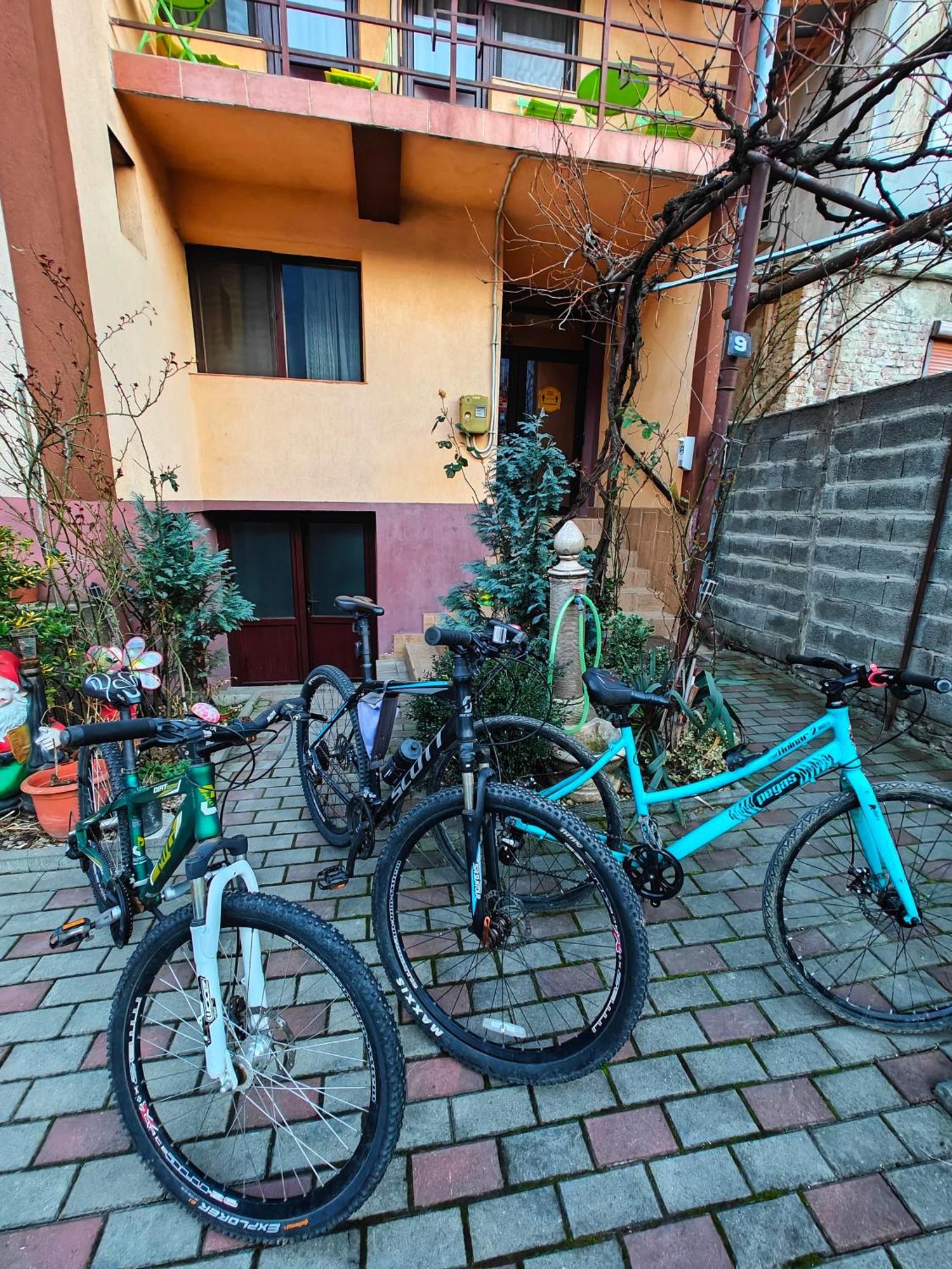 Casa Miclau Daire Băile Herculane Dış mekan fotoğraf